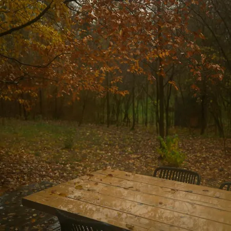 Gniazdowo Nad Rzeka - Dom Z Sauna I Masazem